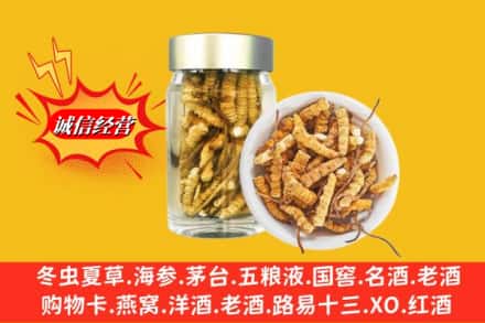 长春市宽城回收散虫草
